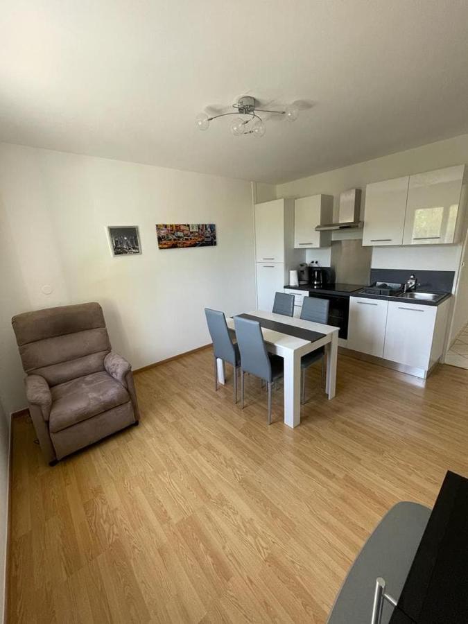 Appartement Le Domaine Des Libellules Proche Walibi Corbelin Exterior photo